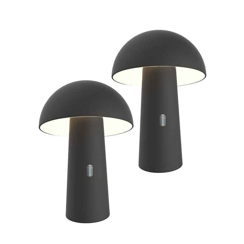 Spotlight Your Space: Shitake&