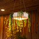 Elba by Newgarden: Innovative Lamp & Planter Combo, Wire-Free with Adjustable Height, Perfect for Indoor/Outdoor Decor.