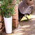 Collection de pots Ficus