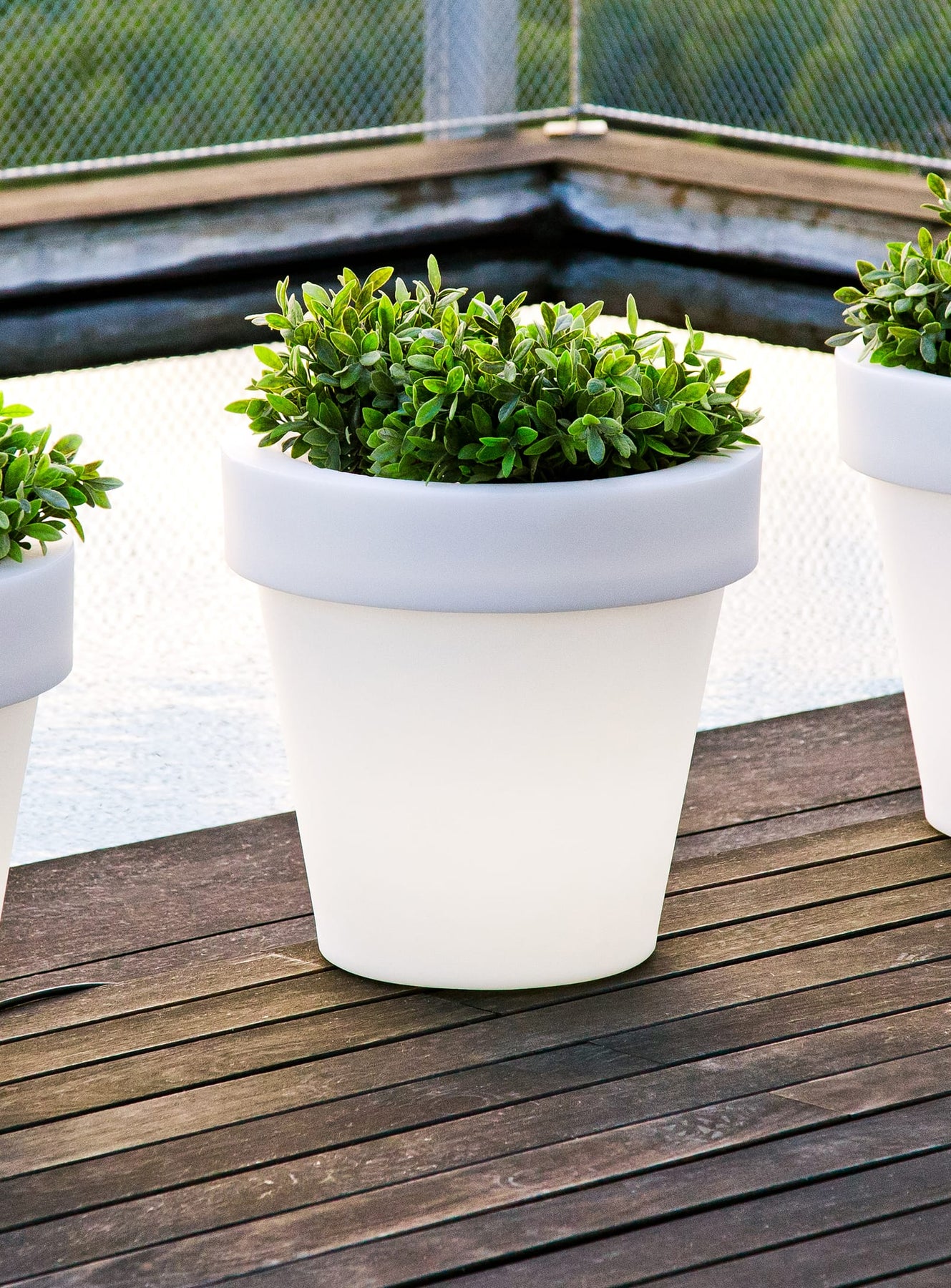 magnolia plant pot Magnolia Pots: Elegant Lighting & Durable Design – Newgarden