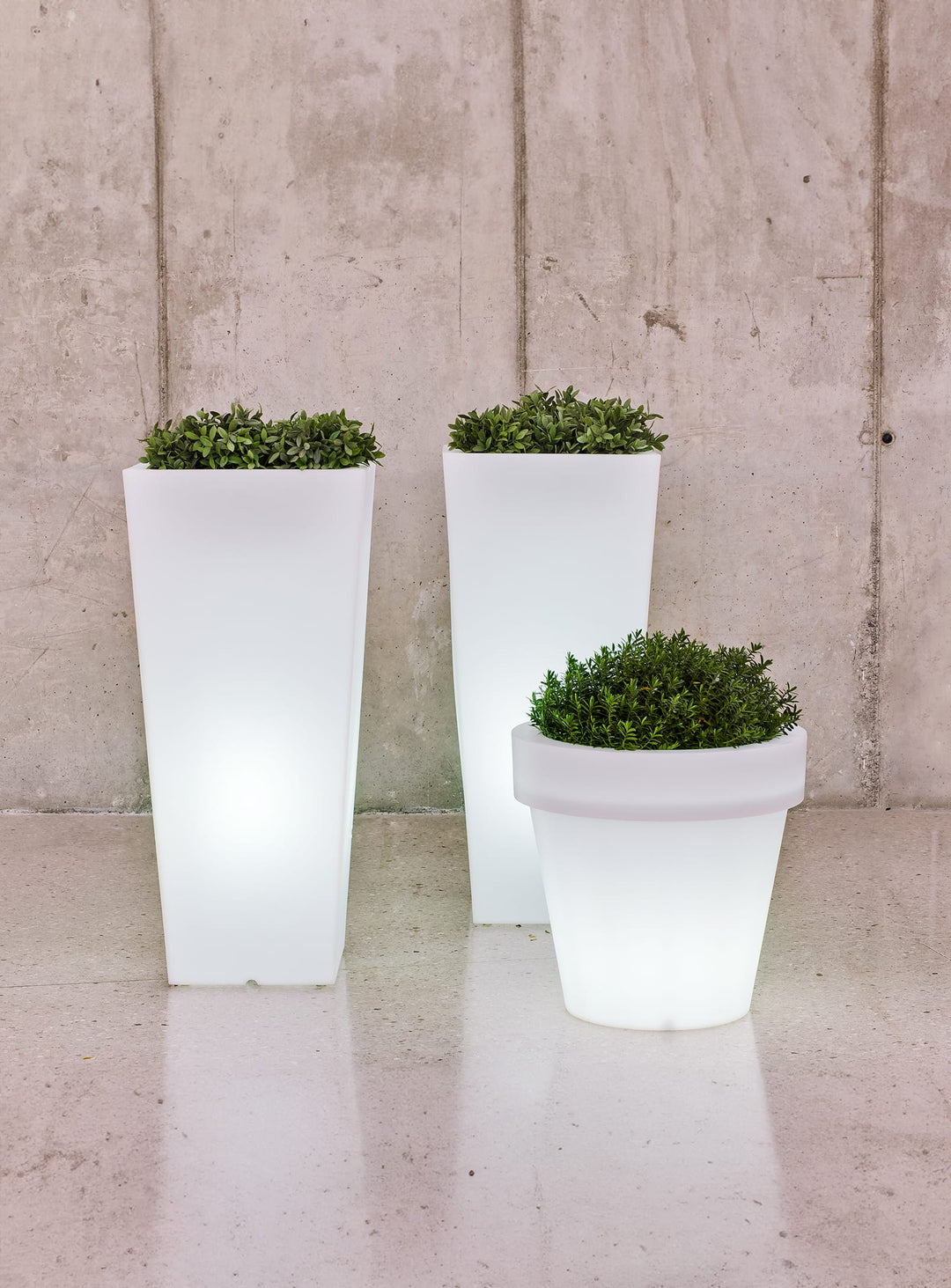 magnolia plant pot Magnolia Pots: Elegant Lighting & Durable Design – Newgarden