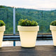 Magnolia Pots Collection<br> LGB, Solar & Rechargeable