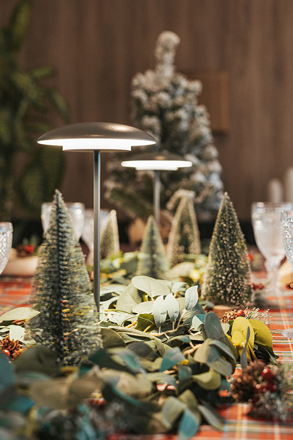 Create a magical atmosphere in you home with Newgarden lamps.