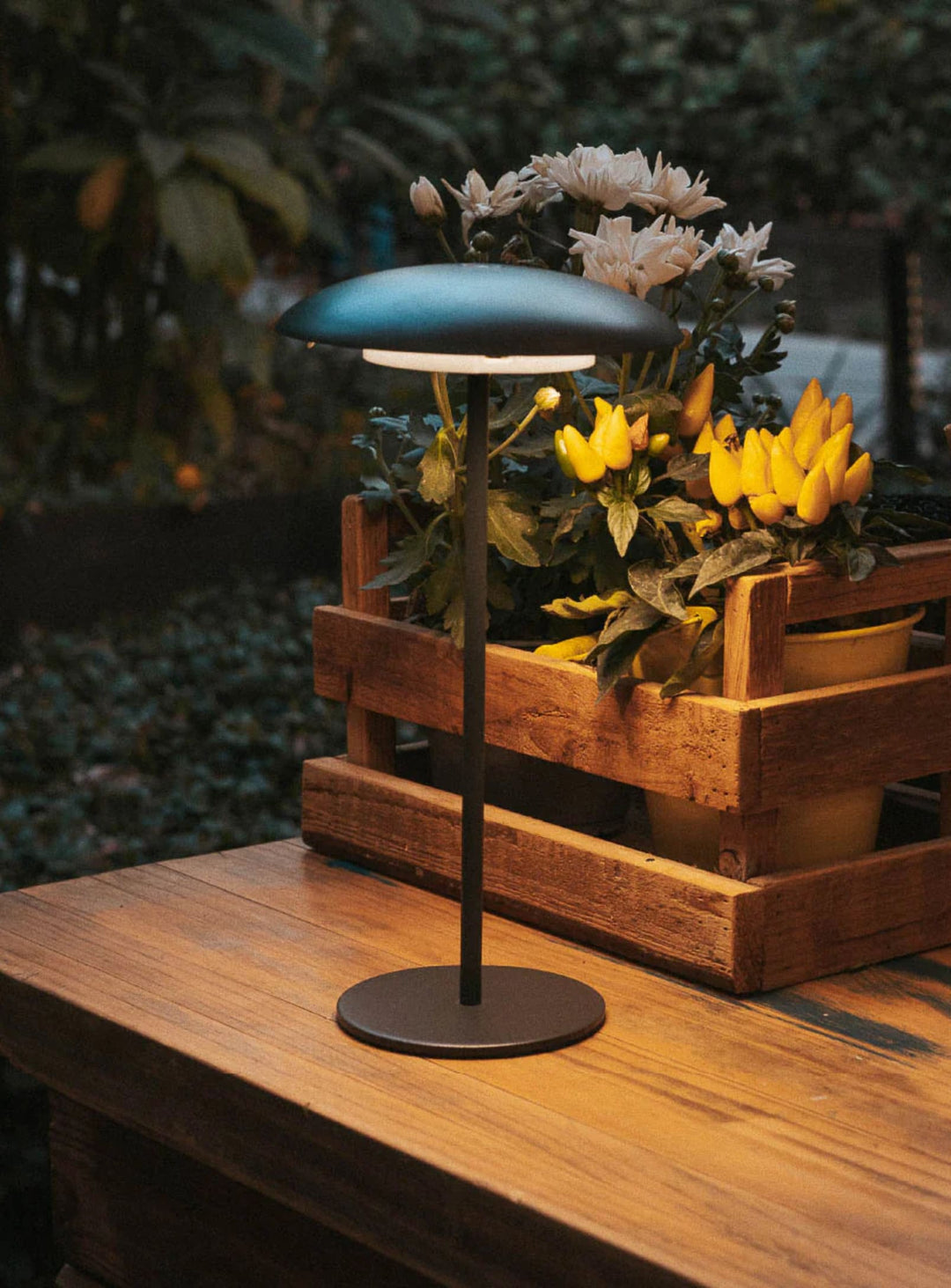 Sardinia 30 LED Table Lamp: Versatile Elegance for Any Space