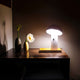 Illuminate Effortlessly: Shitake's Adjustable Lampshade Offers Customized Lighting for Every Space.