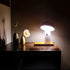 Shitake Wireless Table Lamp | Set of 2